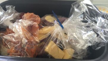 Freezer Oven Bags Meals