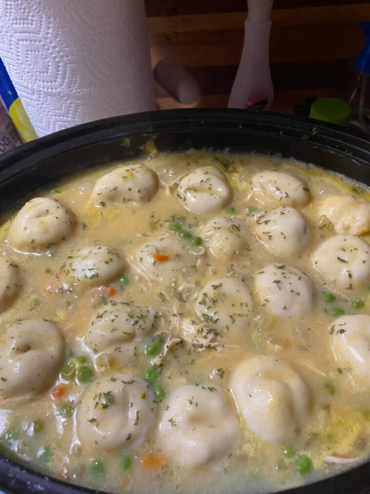 Slow Cooker Chicken Dumplings