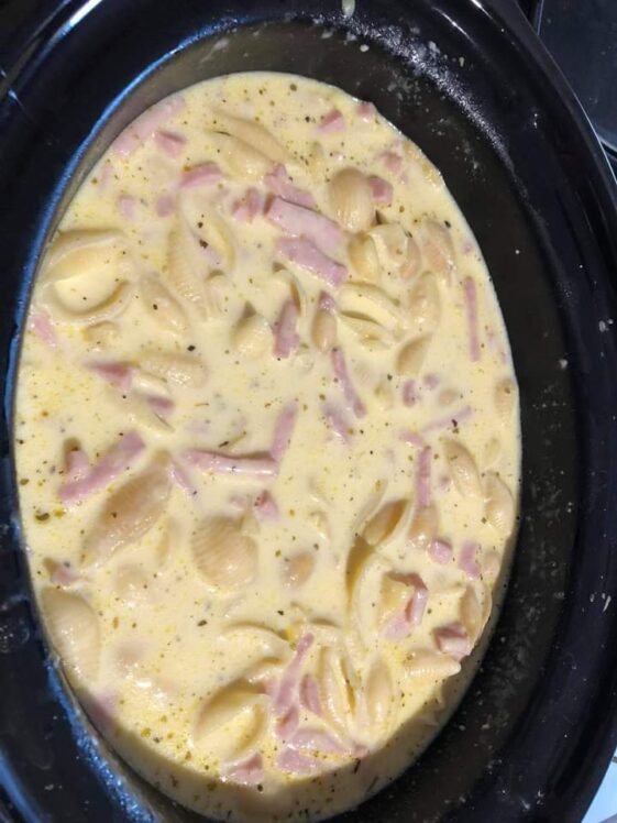 Cheesy Ham Pasta Slow Cooker Tip