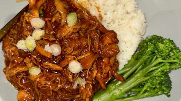 Honey Chilli Chicken Noodles Slow Cooker Tip