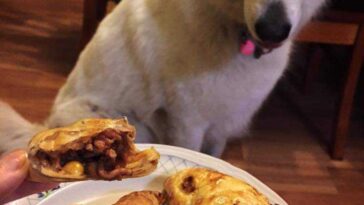 Slow Cooker Pasties