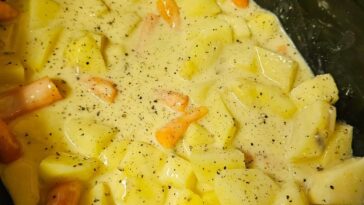 Chicken and Veggie Soup Slow Cooker