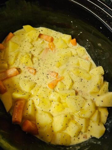 Chicken and Veggie Soup Slow Cooker