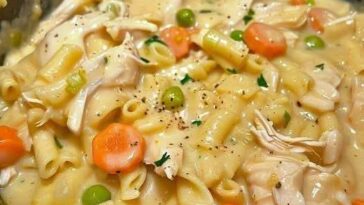 Creamy Chicken Noodle Soup Servings