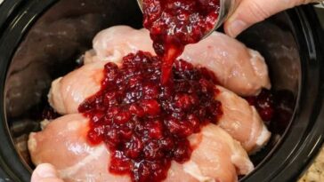Slow Cooker Amish Cranberry Chicken