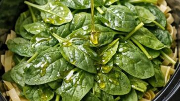 Slow Cooker Spinach Pasta Primavera