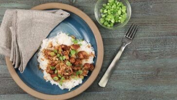 Teriyaki chicken in a slow cooker