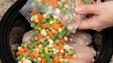 Amish Chicken Pot Pie Noodles Slow Cooker 5-Ingredient