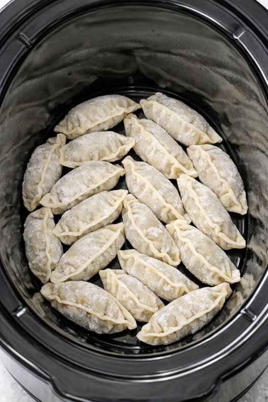 Beef Pot Sticker Dinner - 5-Ingredient In Slow Cooker