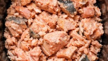 Fiesta Salmon Dip Slow Cooker 3-Ingredient