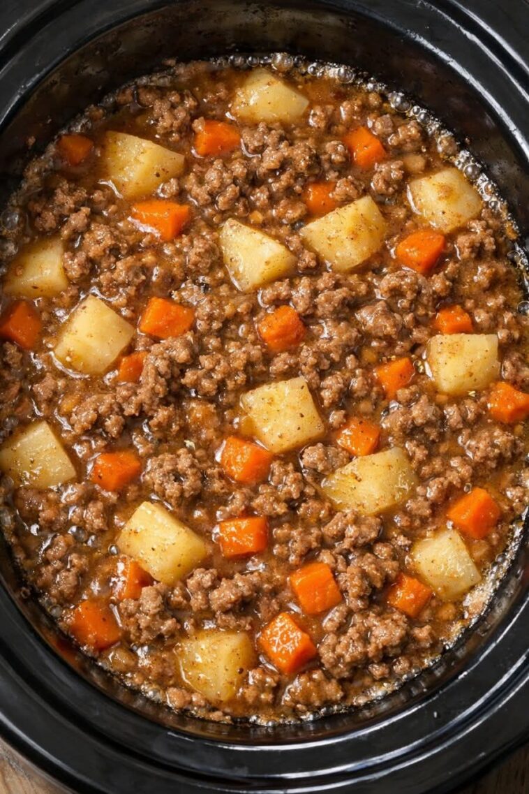 Poor Man's Stew Slow Cooker