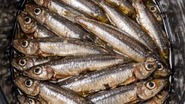 Springtime Anchovies and Potatoes - Slow Cooker