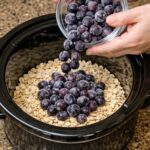 Amish Blueberry Oatmeal Slow Cooker
