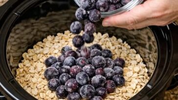 Amish Blueberry Oatmeal Slow Cooker