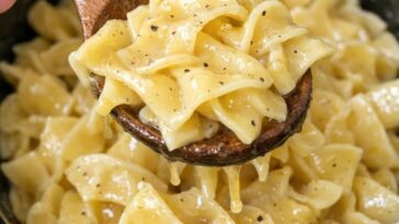 Amish Mustard Cream Noodles Slow Cooker