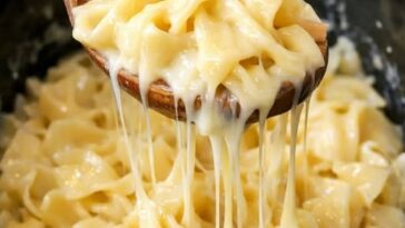 Amish Swiss Cheese Noodles Slow Cooker