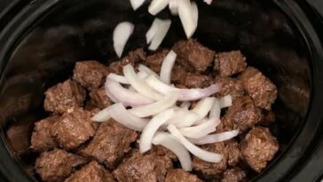 Beef and Onion Stew Slow Cooker