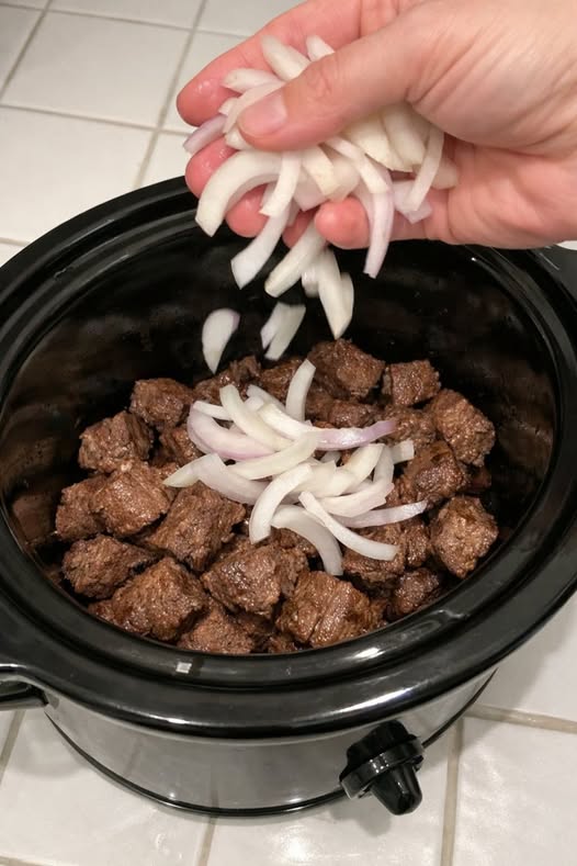Beef and Onion Stew Slow Cooker