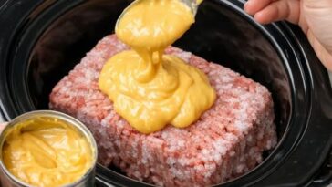 Cheesy Fiesta Beef-Slow Cooker 