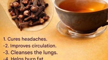 Clove Tea for Health: A Powerful Natural Detox Drink