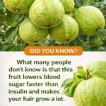 Guava: A Fruit That May Help Your Blood Sugar and Hair