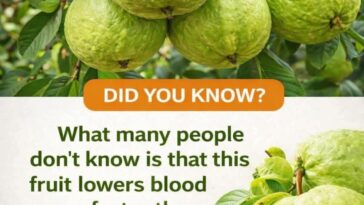 Guava: A Fruit That May Help Your Blood Sugar and Hair