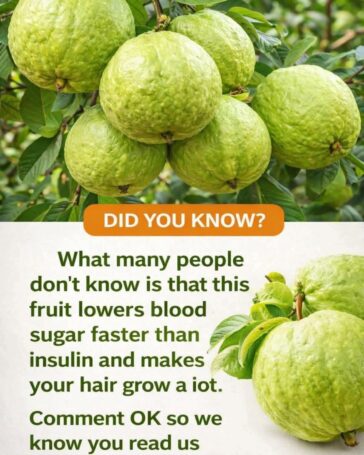 Guava: A Fruit That May Help Your Blood Sugar and Hair