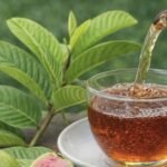 Guava Leaf Tea