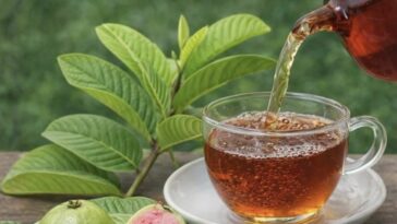Guava Leaf Tea