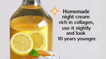 Homemade Collagen Night Cream