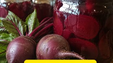 Homemade Pickled Beets Recipe