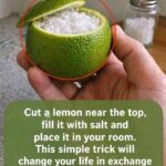 Lemon and Vaseline Blend