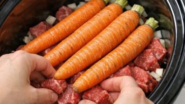 Poor Man's Beef & Carrot Stew Slow Cooker