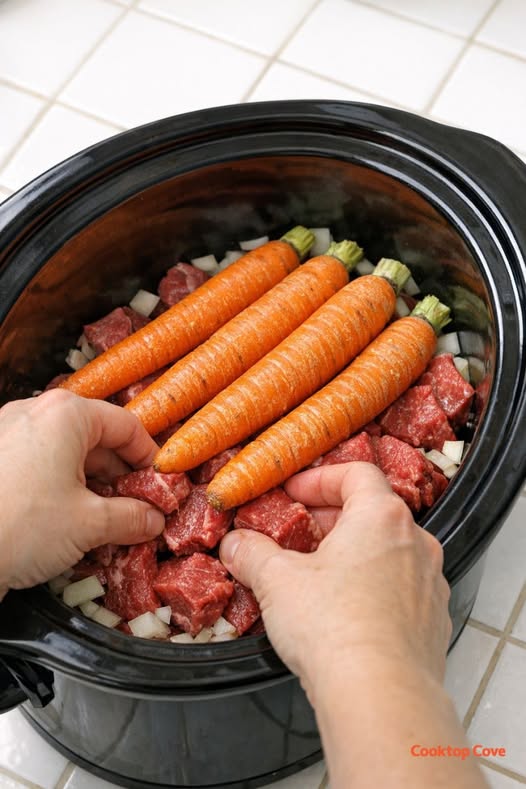 Poor Man's Beef & Carrot Stew Slow Cooker