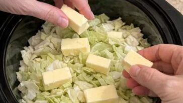 Amish Cabbage and Noodles In Slow Cooker