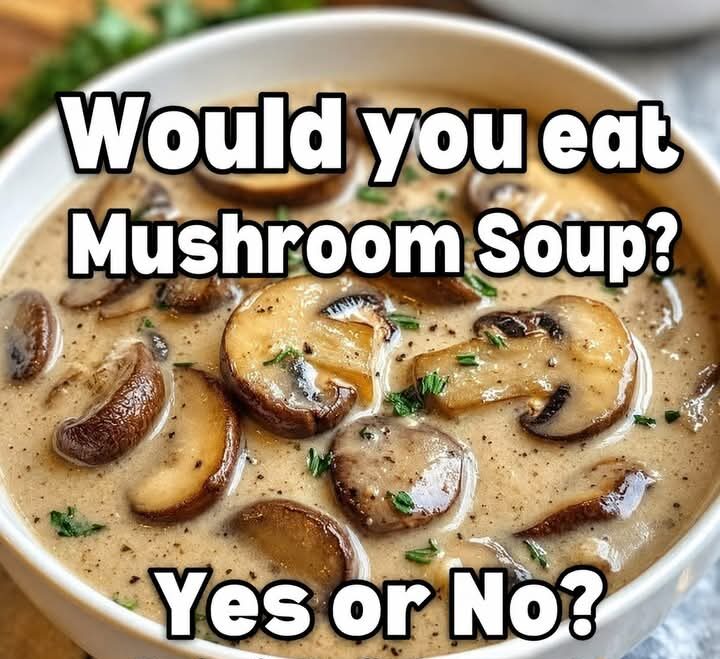 Creamy Mushroom Soup Recipe