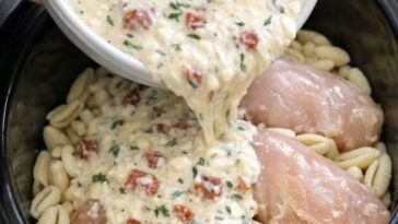 Goat Cheese Chicken Cavatelli