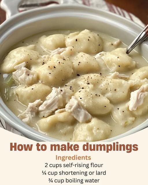 Slow cooker Southern Dumplings