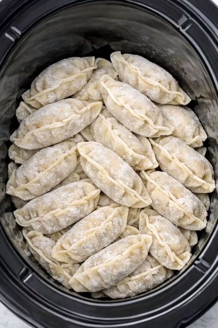 Slow Cooker Potsticker