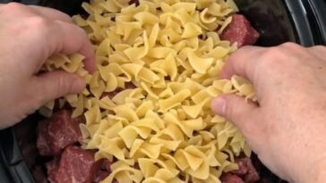 Slow Cooker Amish-Style Egg Noodle Beef