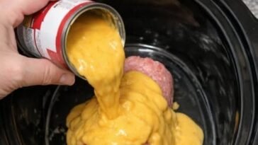 Slow Cooker Cheddar Burger Beef Dip