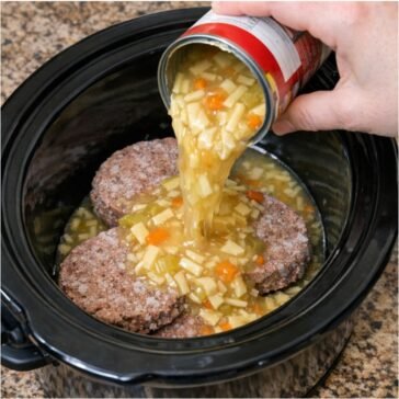 Slow Cooker Chicken Noodle Beef Stew