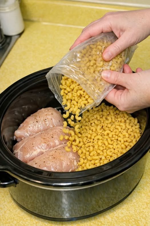 Slow Cooker Chicken and Macaroni