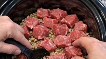 Slow Cooker Depression-Era Beef and Lentils