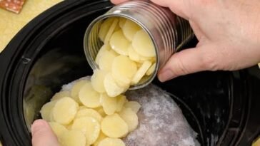 Slow Cooker Poor Man Back to School Beef