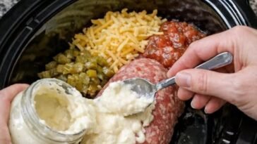 Slow Cooker Queso Blanco Beef Dip