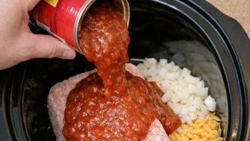 Slow Cooker Sloppy Joe Beef Dip