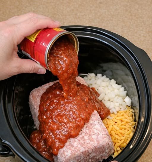 Slow Cooker Sloppy Joe Beef Dip