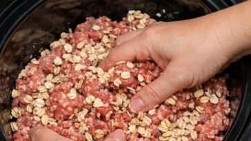 Slow Cooker Beef and Oat Mash