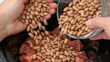 Slow Cooker Beef and Pinto Bean Bowl